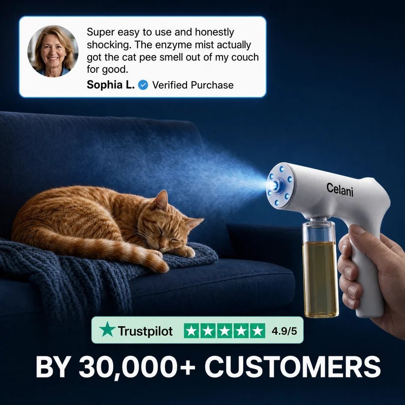 Blue Light Enzyme Mister Kit for Eliminating Any Odor - Celani